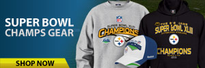 300x100_Steelers_shop now picture
