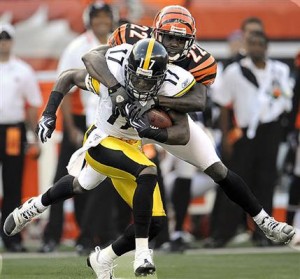Steelers WR Mike Wallace